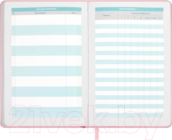 Изображение товара Планинг Феникс+ Плонже / 66489 (розовый)