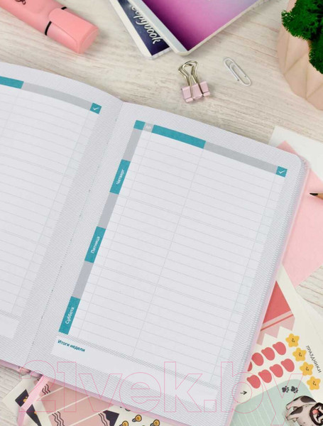 Изображение товара Планинг Феникс+ Плонже / 66489 (розовый)