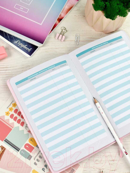 Изображение товара Планинг Феникс+ Плонже / 66489 (розовый)