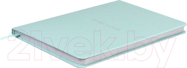 Изображение товара Планинг Феникс+ Плонже / 66490 (мятный)