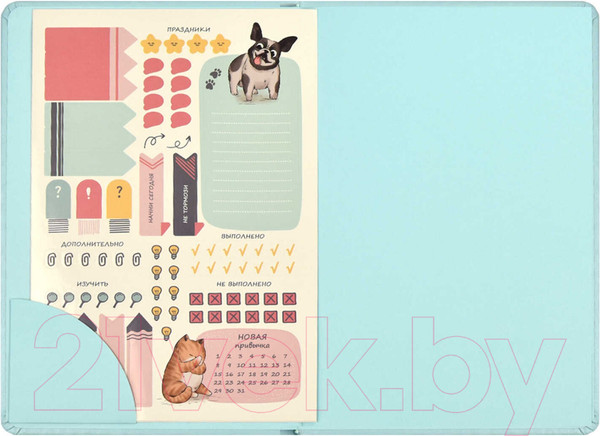 Изображение товара Планинг Феникс+ Плонже / 66490 (мятный)