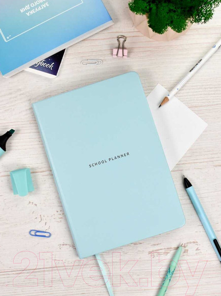 Изображение товара Планинг Феникс+ Плонже / 66490 (мятный)