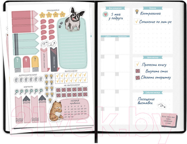 Изображение товара Планинг Феникс+ Плонже / 66495 (черный)