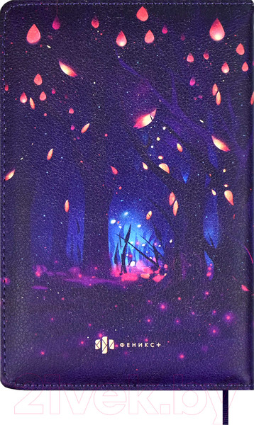 Изображение товара Дневничок Феникс+ Волшебный кот / 66498