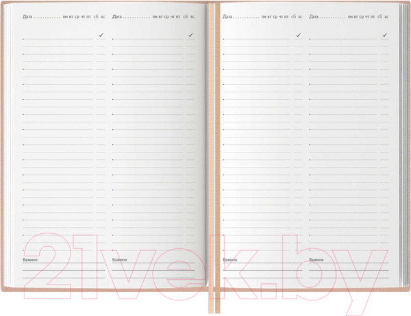 Изображение товара Ежедневник Феникс+ Шеврет / 66476 (розовый)