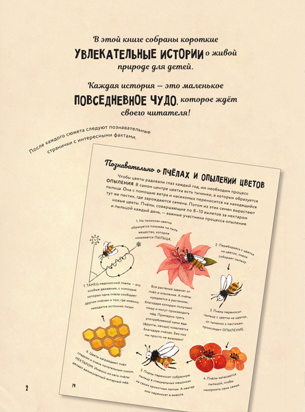 Изображение товара Энциклопедия АСТ Чудеса природы. Пятиминутные истории для детей, твердая обложка (Дауни Гэбби)