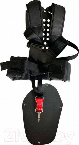 Изображение товара Триммер бензиновый Zeus PNBC620P