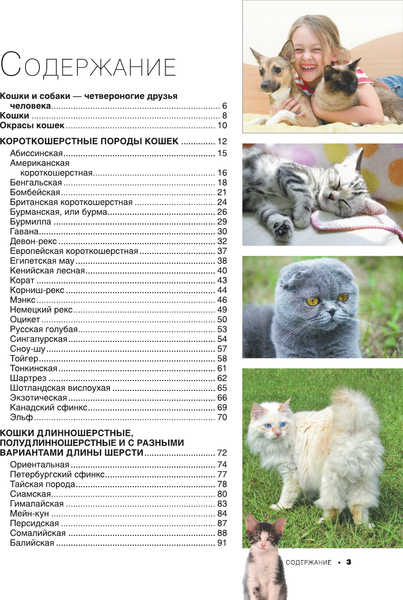 Изображение товара Энциклопедия АСТ Большая книга о кошках и собаках. 1001 фотография (Барановская Ирина и др.)