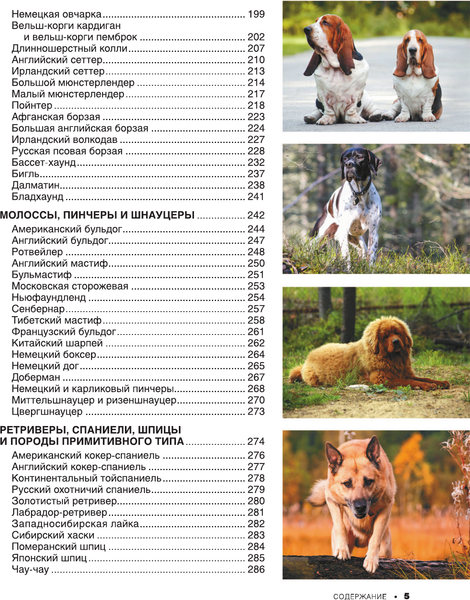 Изображение товара Энциклопедия АСТ Большая книга о кошках и собаках. 1001 фотография (Барановская Ирина и др.)