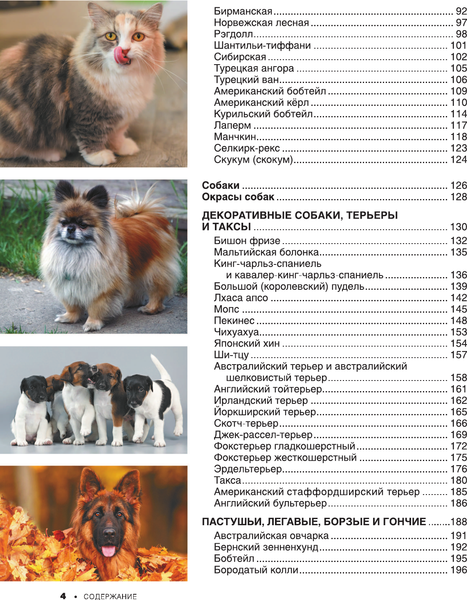 Изображение товара Энциклопедия АСТ Большая книга о кошках и собаках. 1001 фотография (Барановская Ирина и др.)