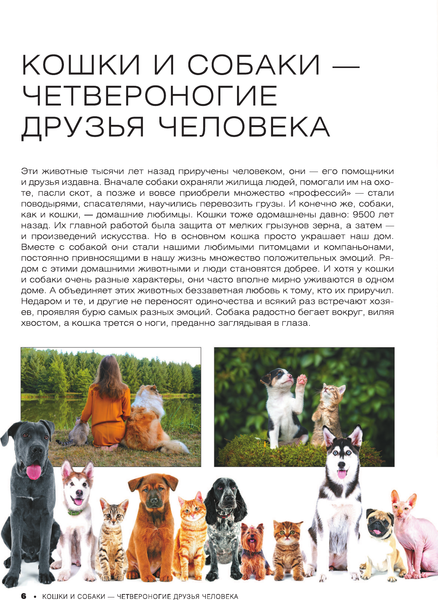 Изображение товара Энциклопедия АСТ Большая книга о кошках и собаках. 1001 фотография (Барановская Ирина и др.)