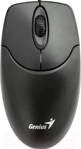 Изображение товара Мышь Genius NetScroll 120 V2 (черный)