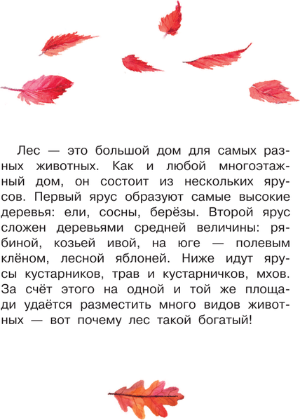 Изображение товара Энциклопедия АСТ Кто живет в лесу? Твердая обложка (Волцит Петр)