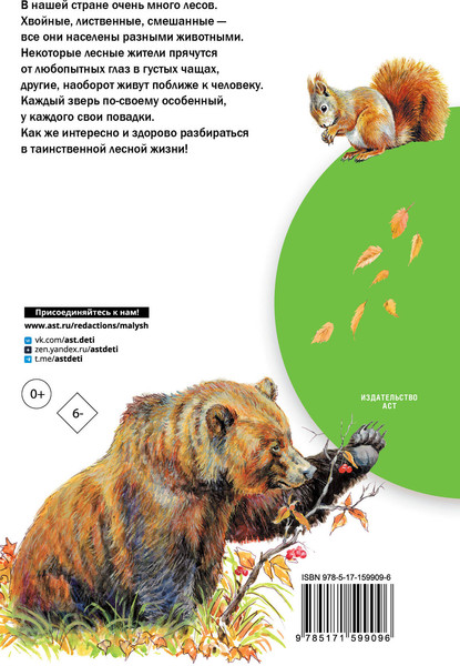 Изображение товара Энциклопедия АСТ Кто живет в лесу? Твердая обложка (Волцит Петр)