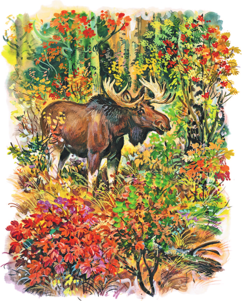 Изображение товара Энциклопедия АСТ Кто живет в лесу? Твердая обложка (Волцит Петр)