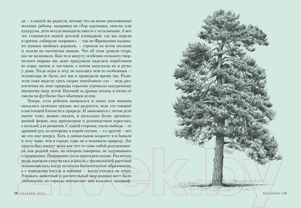 Изображение товара Книга КоЛибри Загадки леса / 9785389250369 (Лохнер А.)