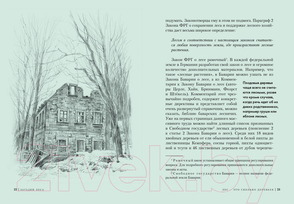 Изображение товара Книга КоЛибри Загадки леса / 9785389250369 (Лохнер А.)