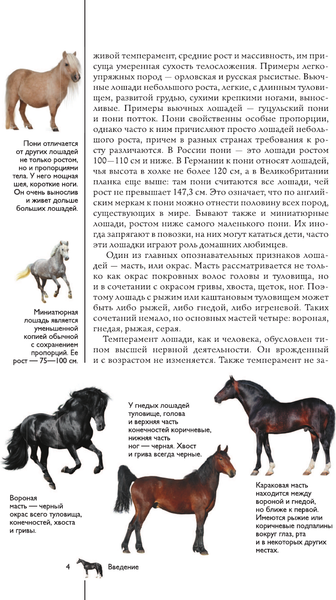 Изображение товара Энциклопедия АСТ Лошади. Иллюстрированный гид, твердая обложка (Спектор Анна)