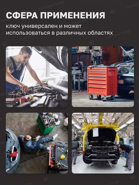 Изображение товара Гаечный ключ Forsage F-7601819 (17767)