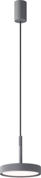 Изображение товара Потолочный светильник Elektrostandard Plate 50260 LED (графит)