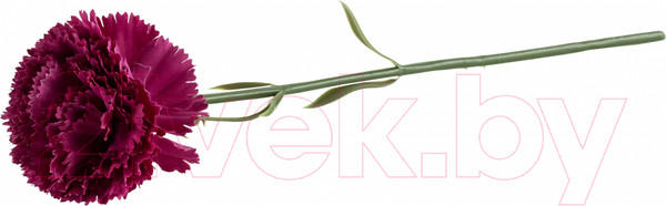 Изображение товара Искусственные цветы Swed house Foxhol 64.01.5694 (7шт, темно-сиреневый)