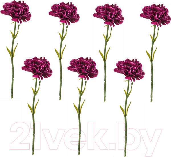 Изображение товара Искусственные цветы Swed house Foxhol 64.01.5694 (7шт, темно-сиреневый)