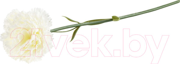 Изображение товара Искусственные цветы Swed house Foxhol 64.01.1635 (7шт, белый)