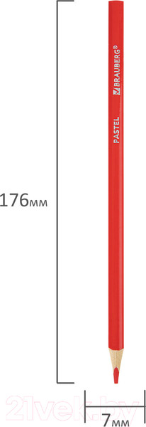 Изображение товара Набор цветных карандашей Brauberg Pastel / 181851 (24цв)