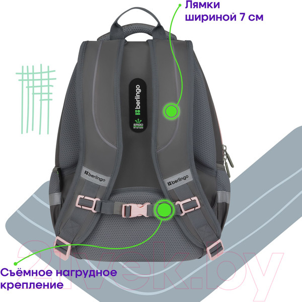 Изображение товара Школьный рюкзак Berlingo Comfort. Flower / RU-CM-1040