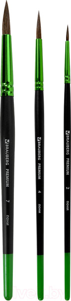 Изображение товара Набор кистей Brauberg Premium / 201021 (3шт)