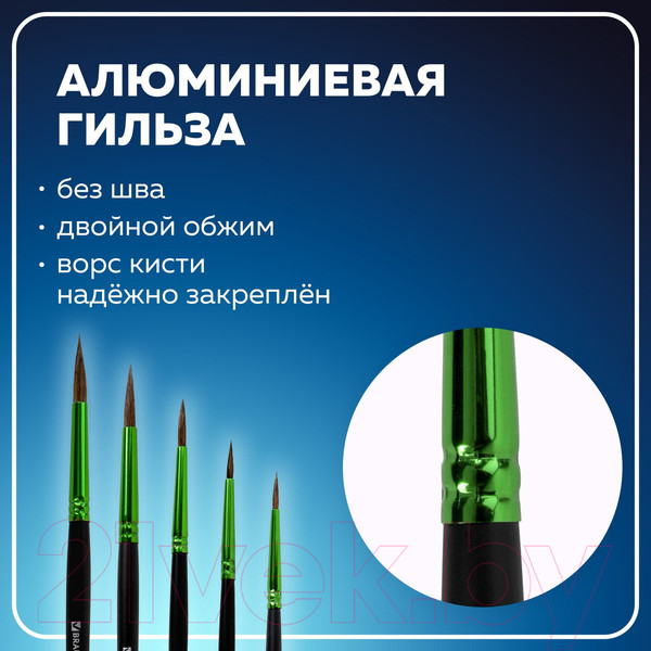 Изображение товара Набор кистей Brauberg Premium / 201022 (5шт)
