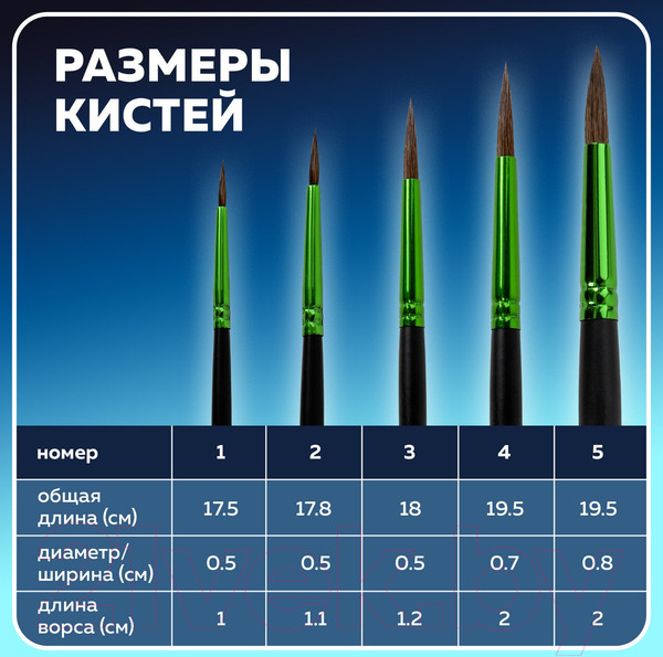 Изображение товара Набор кистей Brauberg Premium / 201022 (5шт)
