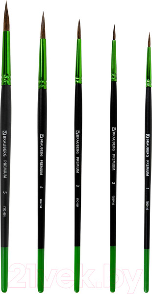 Изображение товара Набор кистей Brauberg Premium / 201022 (5шт)