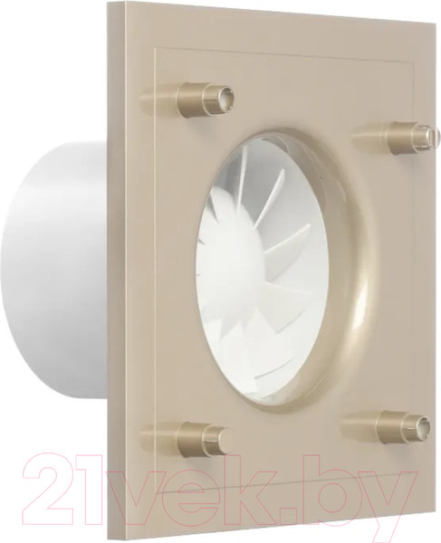 Изображение товара Вентилятор накладной Soler&Palau Silent-100 CHZ Champagne Design / 5210402300-434300