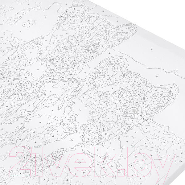 Изображение товара Картина по номерам MultiArt Тигрята / CANV40-50-5