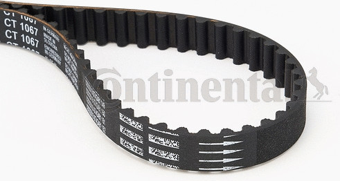 Изображение товара Ремень ГРМ Contitech CT1067