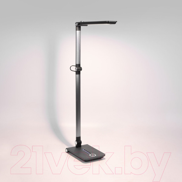 Изображение товара Настольная лампа Elektrostandard Great TL70240 (графит)