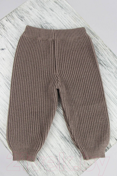 Изображение товара Костюм для малышей Polesie 4С0662-Д43 (р.92-52, бархан)