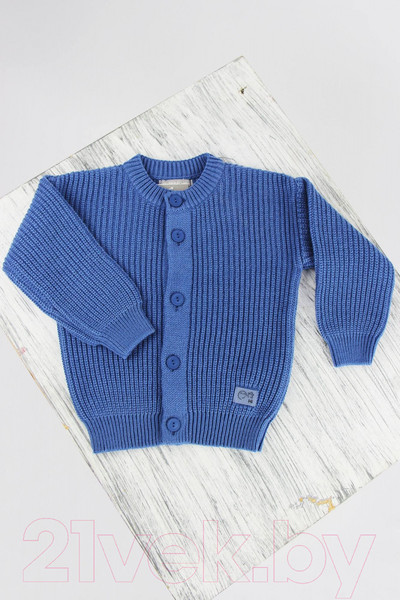 Изображение товара Костюм для малышей Polesie 4С0662-Д43 (р.92-52, королевский синий)