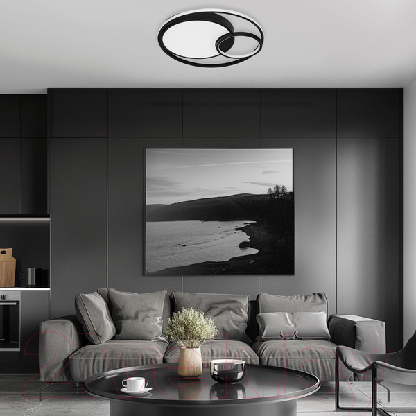 Изображение товара Люстра Евросвет 90254/1  (черный)