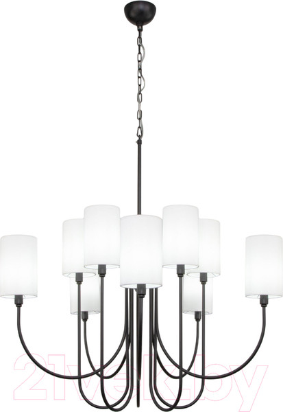 Изображение товара Люстра Евросвет 60164/10 (черный)