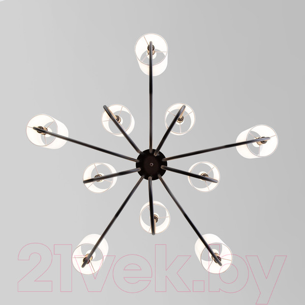 Изображение товара Люстра Евросвет 60164/10 (черный)