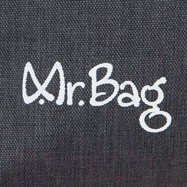 Изображение товара Спортивная сумка Mr.Bag 143-C110-BPN (серый)
