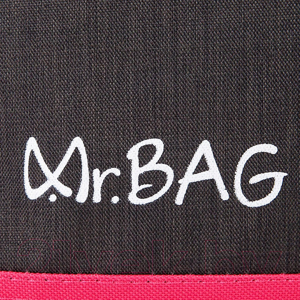 Изображение товара Спортивная сумка Mr.Bag 143-C110-BPN (серый)
