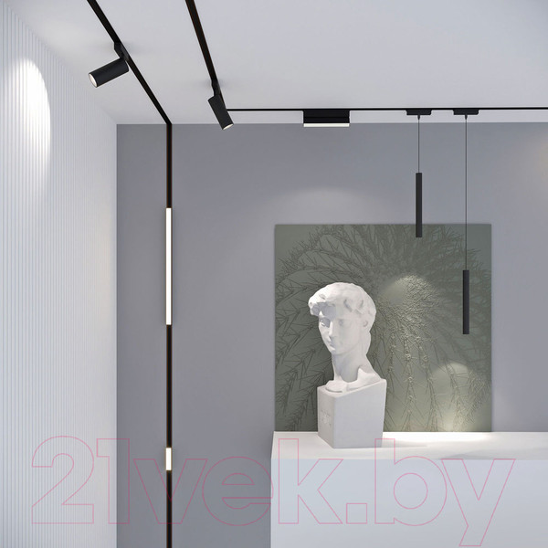 Изображение товара Трековый светильник Elektrostandard Flat Magnetic Unity 10W 4000K 85093/01 (черный)