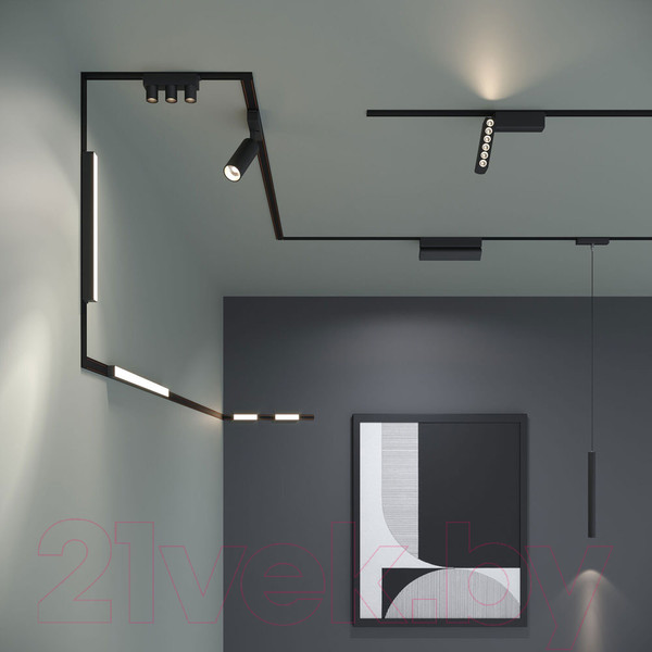 Изображение товара Трековый светильник Elektrostandard Flat Magnetic Insight 6W 4000K 85090/01 (черный)