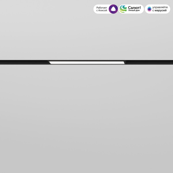 Изображение товара Трековый светильник Elektrostandard Slim Magnetic Dim L01 10W 2700-6500K 85076/01 (черный)