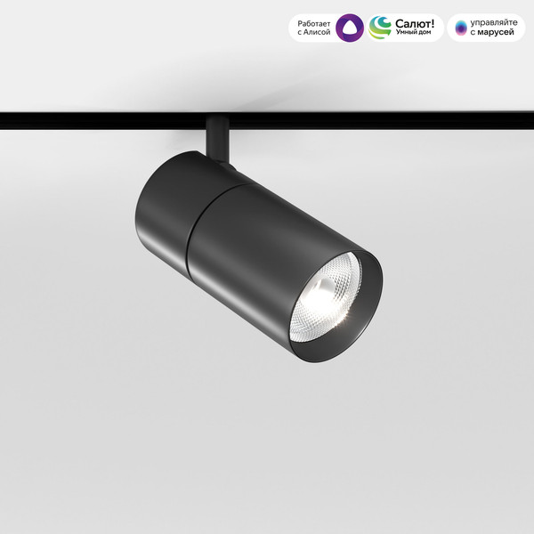 Изображение товара Трековый светильник Elektrostandard Slim Magnetic Dim R02 12W 2700-6500K 85075/01 (черный)