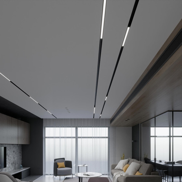 Изображение товара Трековый светильник Elektrostandard Slim Magnetic Dim L03 30W 2700-6500K 85080/01 (черный)