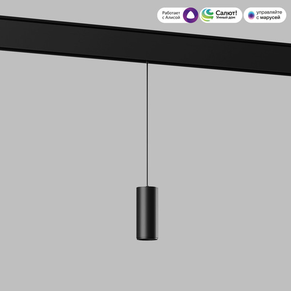 Изображение товара Трековый светильник Elektrostandard Slim Magnetic Dim Amend 7W 2700-6500K 85072/01 (черный)